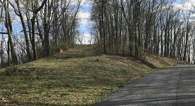 Photo of Lot 117 Withrow Lndg #117, Caldwell, WV 24925