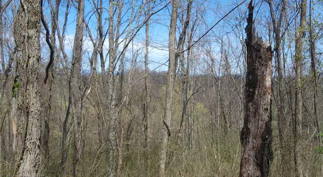 Photo of 7.28 Acres G.w. Ln, WV 24970
