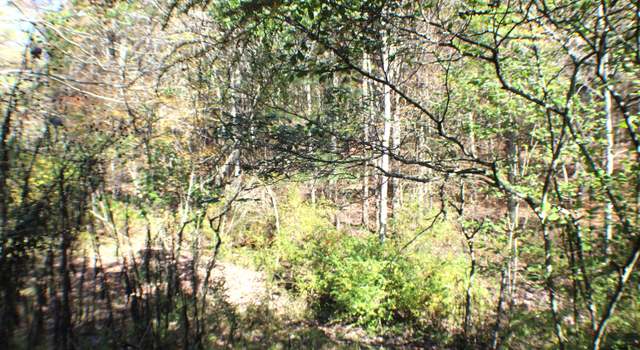 Photo of Murphy Rd, Bartow, WV 24920
