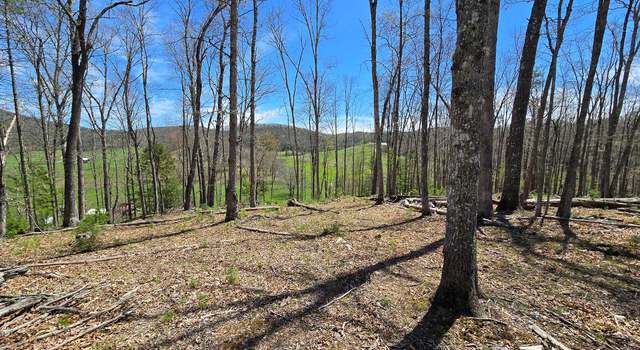 Photo of 9021 Browns Creek Rd, Dunmore, WV 24934