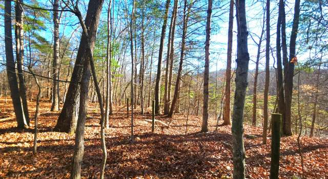 Photo of 359 Four Oaks Ln #5, Caldwell, WV 24925