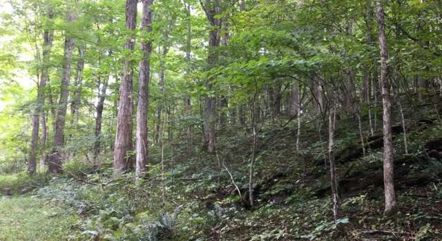 Photo of 1002 Little Mountain Dr Unit D8, Hillsboro, WV 24946