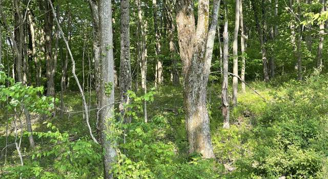 Photo of 478 Pence Ln, Nallen, WV 26680