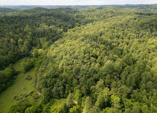 Property at 517 Lake Rd, Fort Gay, WV 25514