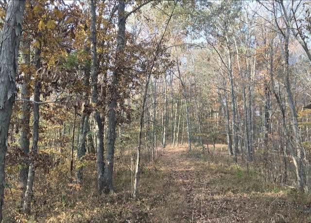 Property at 00 Rt. 152, Wayne, WV 25570