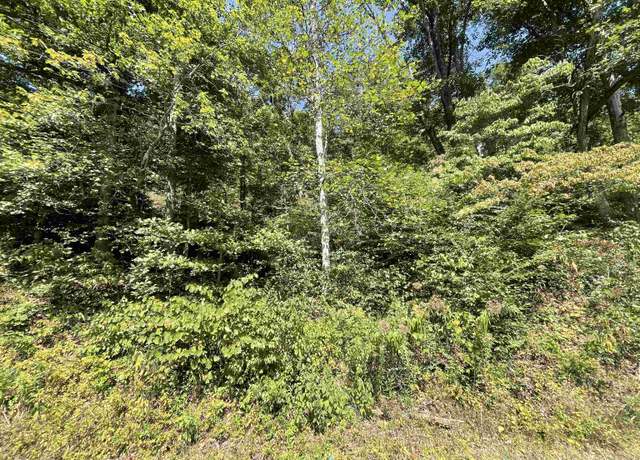 Property at 0 Fort Gay Rd, Fort Gay, WV 25514