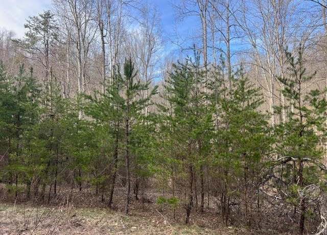 Property at Lot 4 Rose Ln, Barboursville, WV 25504