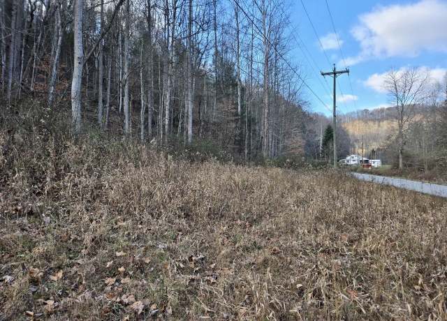 Property at 0 Mill Crk, Fort Gay, WV 25514