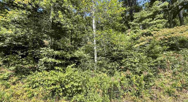 Photo of 0 Fort Gay Rd, Fort Gay, WV 25514