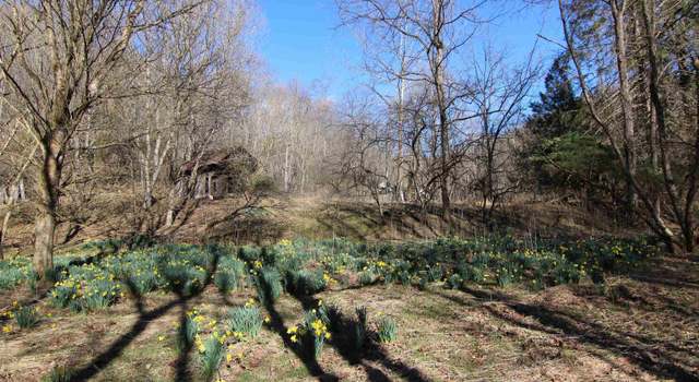 Photo of 0 Elkins Br, Alkol, WV 25501