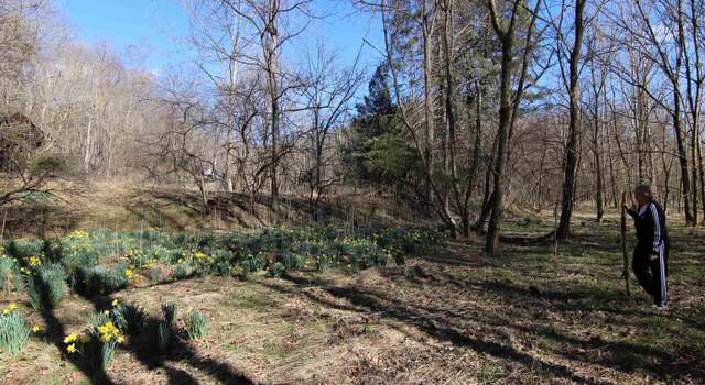 Photo of 0 Elkins Br, Alkol, WV 25501