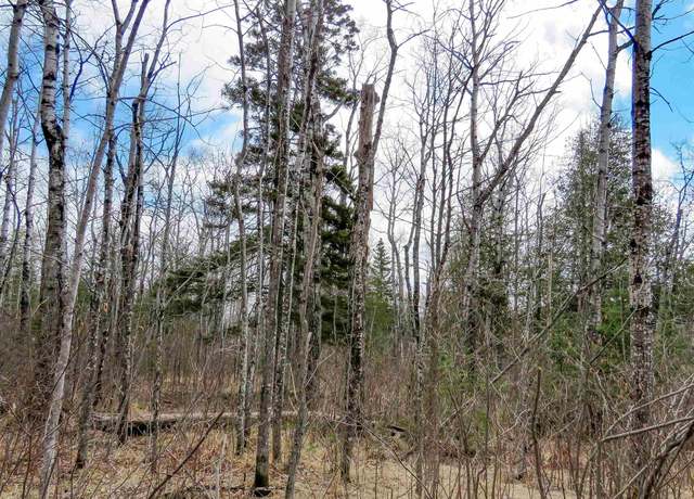 Property at x48 Hansen-hjemsted Rd, Lutsen, MN 55612