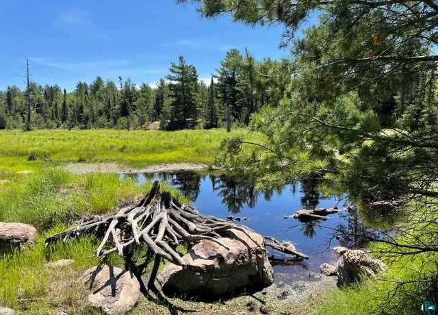 Property at xxxx Mud Creek Rd, Ely, MN 55731
