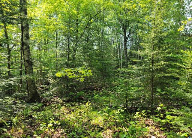 Property at 10X Franks Way, Grand Marais, MN 55604