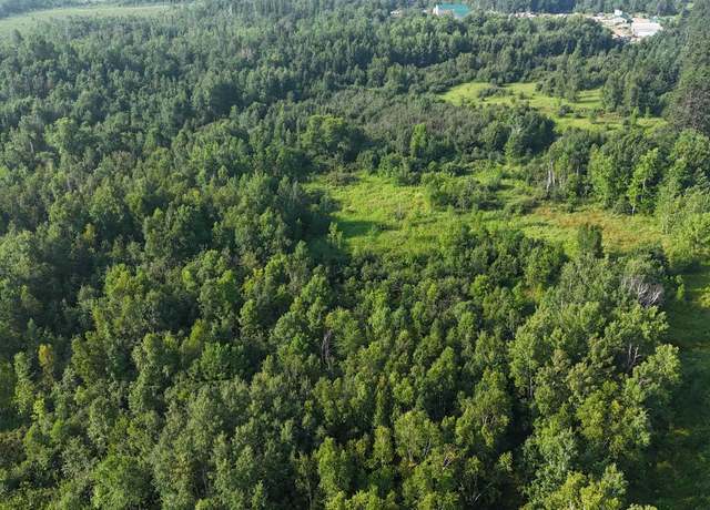 Property at TBD Hwy 107, Brook Park, MN 55007
