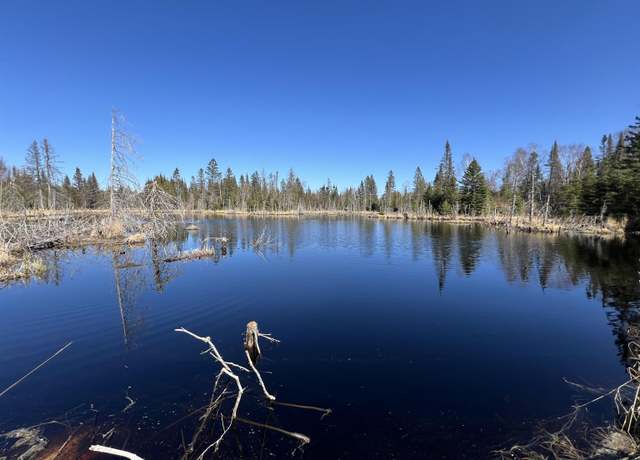 Property at XX Heffelfinger Trl, Finland, MN 55614