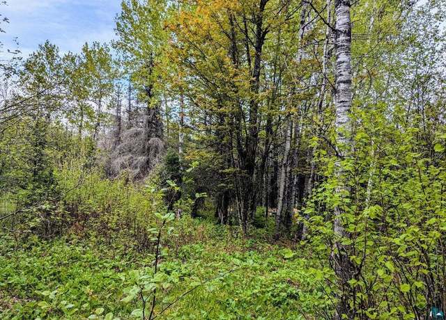 Property at XX37 W Lismore Rd, Duluth, MN 55803