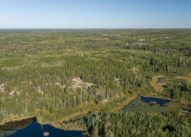Property at TBD Forest Rd 200, Buyck, MN 55771