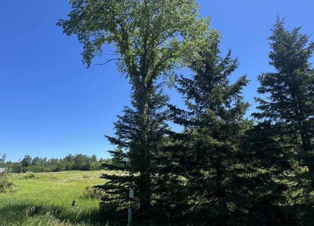 Property at County Rd 103, Blackhoof, MN 55718