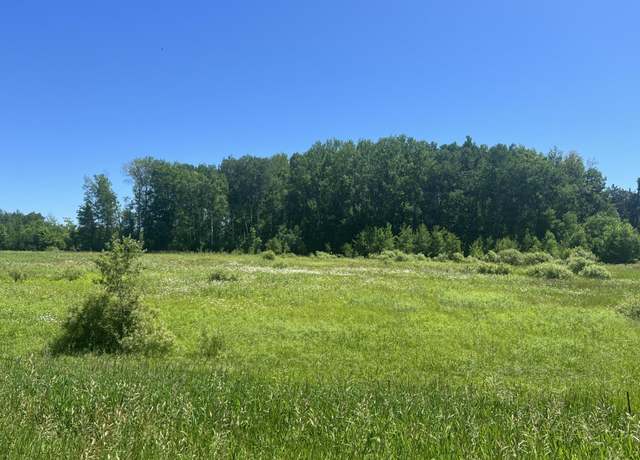 Property at County Rd 103, Blackhoof, MN 55718