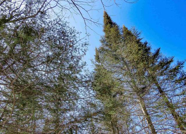 Property at xxx County Hwy 8, Finland, MN 55603