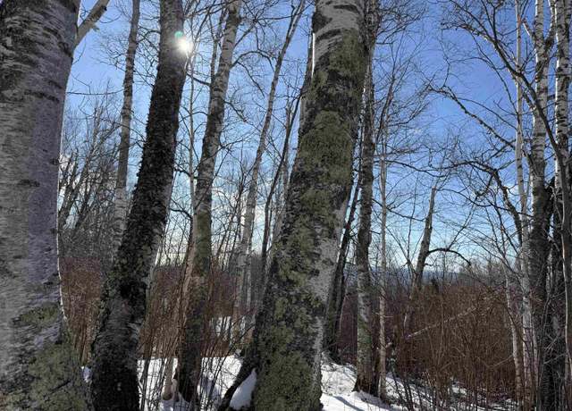 Property at XX9 Murphy Dr, Grand Marais, MN 55604