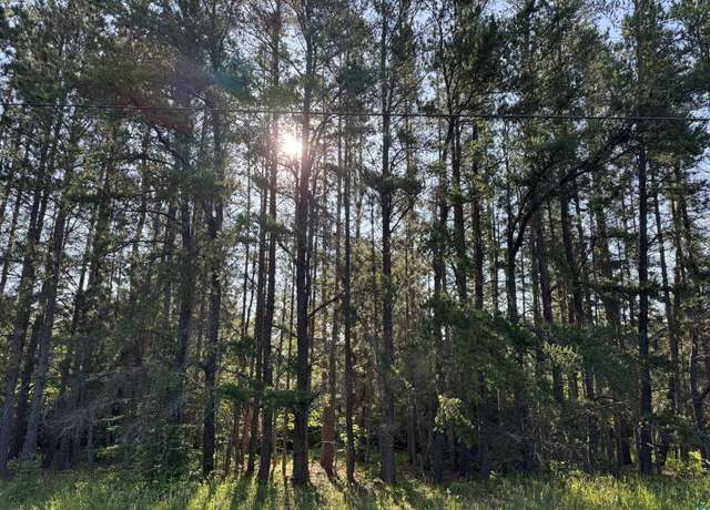 Property at XX Waldo Rd, Two Harbors, MN 55616