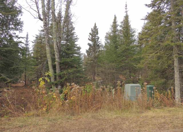 Property at XX Ravenwood Rd, Grand Marais, MN 55604