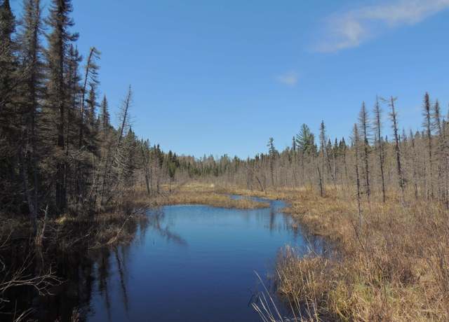 Property at 1639 Camp 20 Rd, Hovland, MN 55606