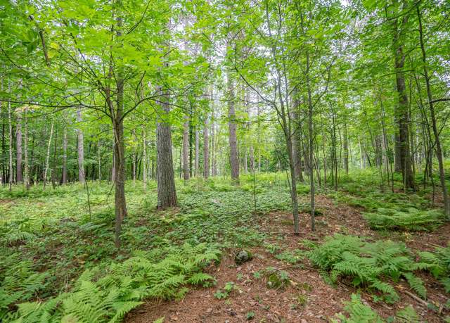 Property at 51xx Lindahl Rd, Duluth, MN 55811