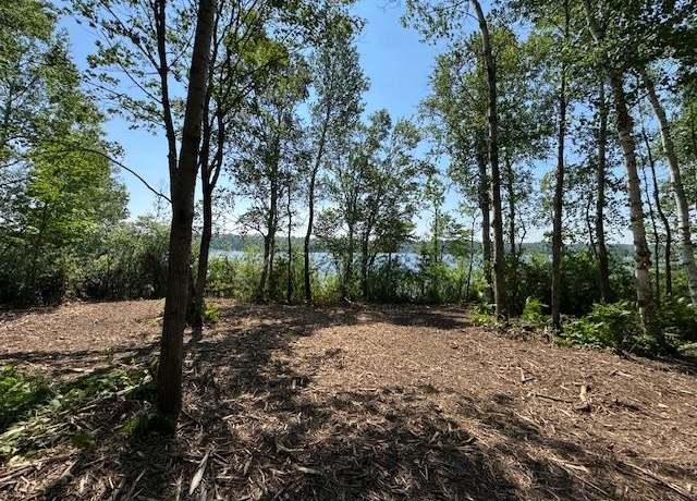 Property at XXX1 Koller Ln, Cotton, MN 55724