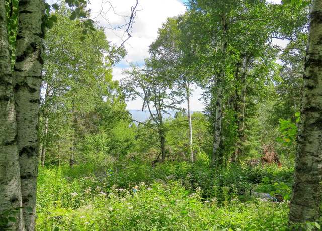 Property at xxx Hoaglund Dr, Tofte, MN 55615