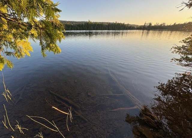 Property at 39XX Arrowhead Trl, Hovland, MN 55606