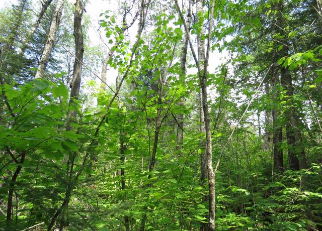 Property at x7 Caps Trl, Lutsen, MN 55612