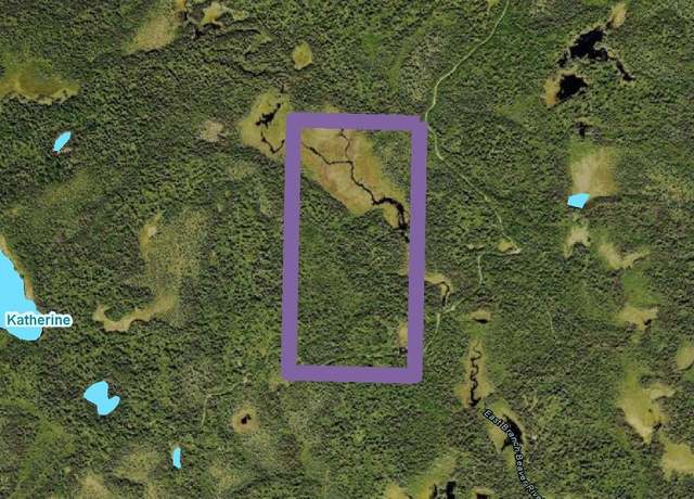 Property at XXX3 Heffelfinger Trl, Finland, MN 55614
