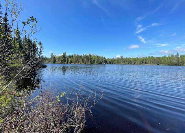 Property at XXX3 Old Gunflint Trl, Grand Marais, MN 55604
