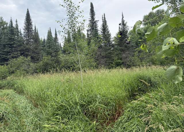 Property at xxx Benson Rd, Alborn, MN 55702