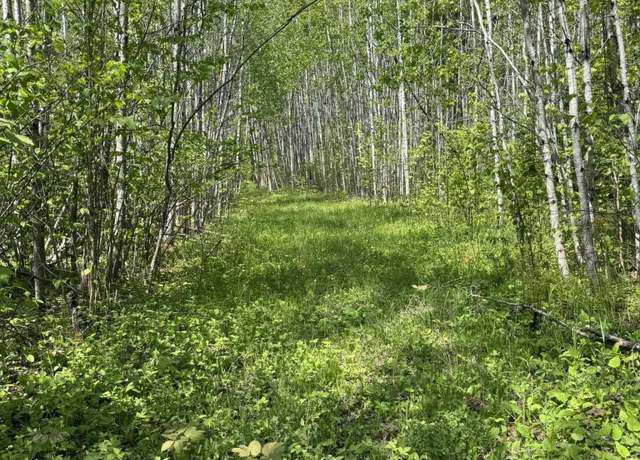 Property at XX Fors Rd, Two Harbors, MN 55616