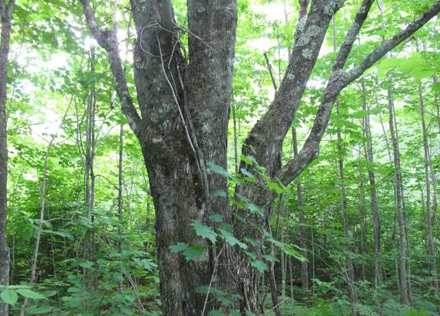 Property at 5xx Caribou Trl, Lutsen, MN 55612