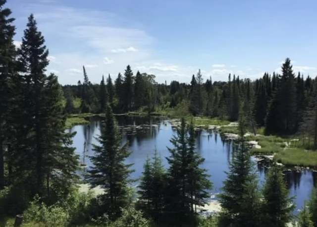 Property at 3158 God's Wilderness Rd, Silver Bay, MN 55614, 1 bed