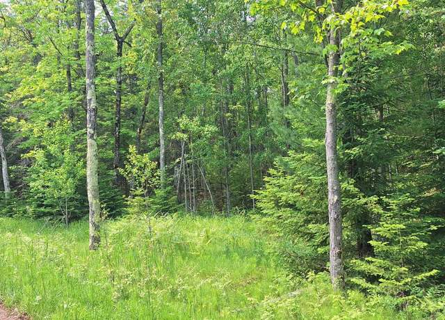 Property at Lot 1, Block 1 Raspberry Trl, Lapointe, WI 54850