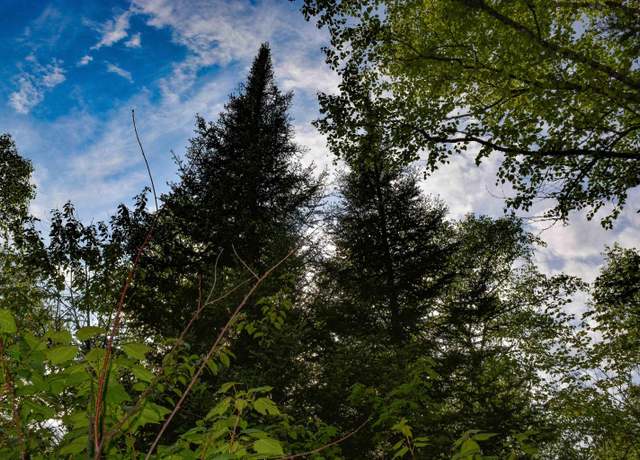 Property at xxx County Rd 48, Grand Marais, MN 55604