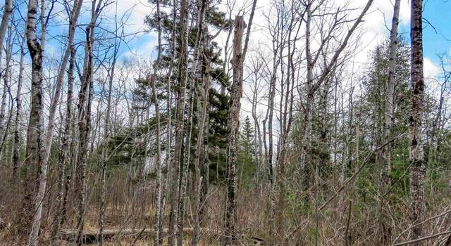 Photo of x48 Hansen-hjemsted Rd, Lutsen, MN 55612
