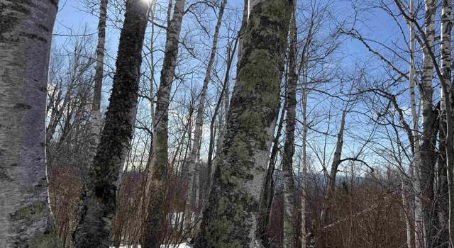 Photo of XX9 Murphy Dr, Grand Marais, MN 55604