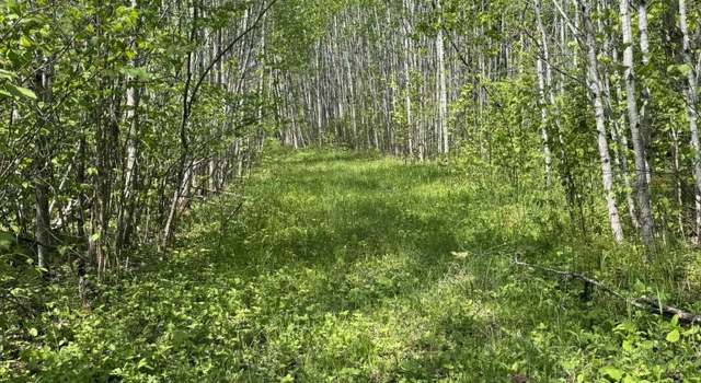 Photo of XX Fors Rd, Two Harbors, MN 55616