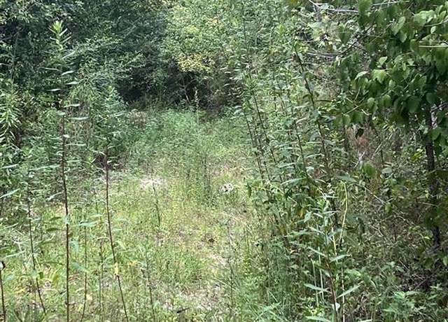 Property at TBD Lee Moore Rd, Starks, LA 70661
