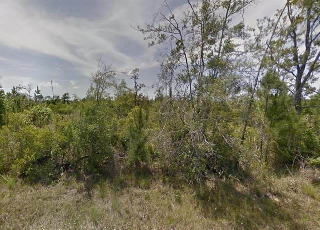 Property at TBD Panhandle Rd, Dequincy, LA 70633
