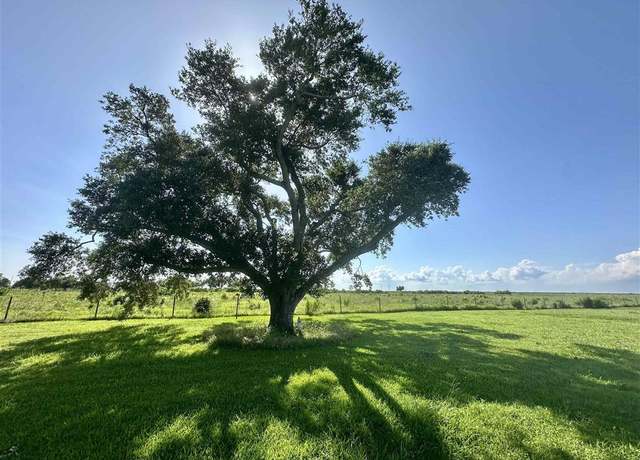 Property at 163 Mallard Ln Ln, Cameron, LA 70631
