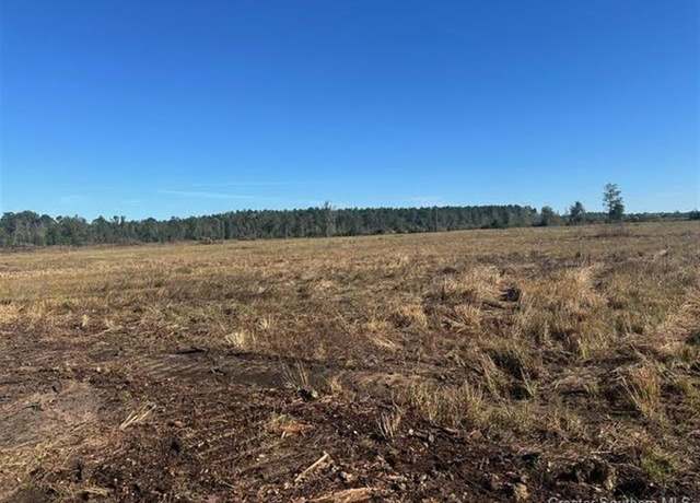 Property at 0 Conway Rosteet Rd, Longville, LA 70652