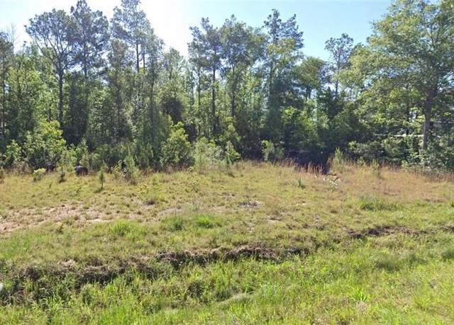 Property at 0 Newt Hodges Rd Lot 10, Ragley, LA 70657